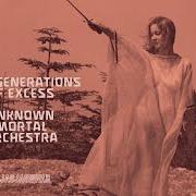 Il testo TWO GENERATIONS OF EXCESS di UNKNOWN MORTAL ORCHESTRA è presente anche nell'album Two generations of excess (2024)
