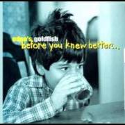 Il testo TRACE YOUR STEPS degli EDNA'S GOLDFISH è presente anche nell'album Before you knew better (1998)