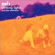 Il testo RAILROAD MAN degli EELS è presente anche nell'album Blinking lights and other revelations - disc 1 (2005)