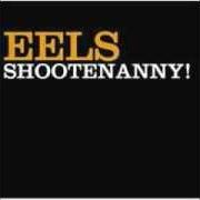 Il testo ROCK HARD TIMES degli EELS è presente anche nell'album Shootenanny! (2003)