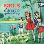 Il testo PACKING BLANKETS degli EELS è presente anche nell'album Daisies of the galaxy (2000)