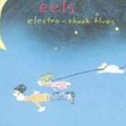 Il testo DEAD OF WINTER degli EELS è presente anche nell'album Electro-shock blues (1998)
