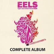 Il testo THE EPIPHANY degli EELS è presente anche nell'album The deconstruction (2018)