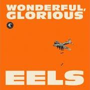 Il testo TRUE ORIGINAL degli EELS è presente anche nell'album Wonderful, glorious (2013)