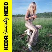 Il testo IVAN KUPALA (NEW DAY) [???? ??????] di KEDR LIVANSKIY è presente anche nell'album Your need (2019)