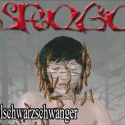 Il testo STAHLSCHWARZSCHWANGER degli EISREGEN è presente anche nell'album Knochenkult (2008)