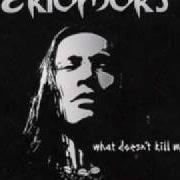 Il testo NEW LIFE degli EKTOMORF è presente anche nell'album What doesn't kill me... (2009)
