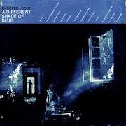 Il testo A SERPENT'S TOUCH di KNOCKED LOOSE è presente anche nell'album A different shade of blue (2019)