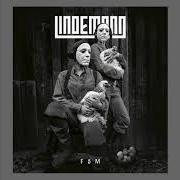 Il testo ACH SO GERN (PAIN VERSION) di LINDEMANN è presente anche nell'album F & m (2019)