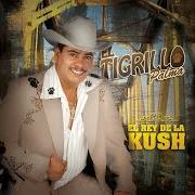 Il testo MI MANO DERECHA di EL TIGRILLO PALMA è presente anche nell'album El rey de la kush (2009)