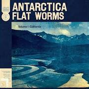Il testo WET CONCRETE di FLAT WORMS è presente anche nell'album Antarctica (2020)