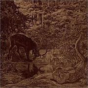 Il testo HAUNTING BIRDS degli AGALLOCH è presente anche nell'album Of stone, wind and pillor - ep (2001)