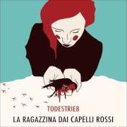 Il testo POLVERE QUIETA di LA RAGAZZINA DAI CAPELLI ROSSI è presente anche nell'album Todestrieb (2016)