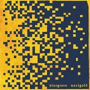 Il testo NO DRUGS di PINEGROVE è presente anche nell'album Marigold (2020)