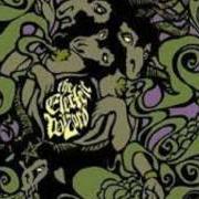 Il testo TUTTI I COLORI DEL BUIO degli ELECTRIC WIZARD è presente anche nell'album We live (2004)