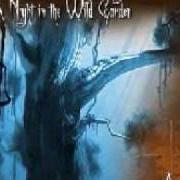 Il testo A NIGHT IN THE WILD GARDEN di AAVA è presente anche nell'album A night in the wild garden (single) (2006)