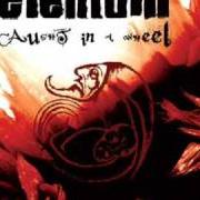 Il testo EYES GROW COLDER degli ELENIUM è presente anche nell'album Caught in a wheel (2007)