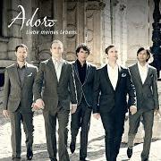 Il testo TANZ DER MOLEKÜLE di ADORO è presente anche nell'album Liebe meines lebens (2011)