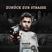 Il testo ZURÜCK ZUR STRASSE di ALPA GUN è presente anche nell'album Zurück zur straße (2016)