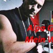 Il testo MEIN WEG di ALPA GUN è presente anche nell'album Aufstand auf den billigen plätzen - (single) (2008)