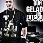 Il testo BLAULICHT di ALPA GUN è presente anche nell'album Geladen und entsichert (2007)