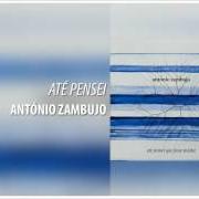Il testo O MEU AMOR di ANTÓNIO ZAMBUJO è presente anche nell'album Até pensei que fosse minha (2016)