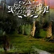 Il testo IN YOUR DRY LIPS di A SORROWFUL DREAM è presente anche nell'album A garden of stones - demo (2003)