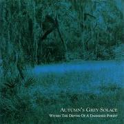Il testo REFLECTIONS OF FALLING LEAVES di AUTUMN'S GREY SOLACE è presente anche nell'album Within the depths of a darkened forest (2002)