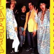 Il testo PIZZA-N-BEER di ADRENALIN O.D. è presente anche nell'album Humungousfungusamongus (1986)