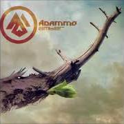 Il testo DALE MAS di ADAMMO è presente anche nell'album Amber (2011)