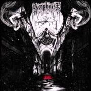 Il testo RAW LIFE di ACEPHALIX è presente anche nell'album Deathless master (2012)