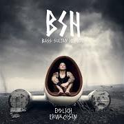 Il testo ENDLICH ERWACHSEN di BASS SULTAN HENGZT è presente anche nell'album Endlich erwachsen (2014)