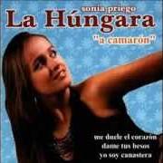 Il testo TE VOY A OLVIDAR di LA HÚNGARA è presente anche nell'album A camaron (2003)