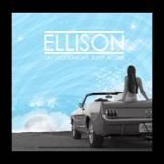 Il testo FOLLOWING YOU di ELLISON è presente anche nell'album Say goodnight, sleep alone (2006)
