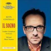 Il testo THE IDENTITY PARADE di ELVIS COSTELLO è presente anche nell'album Il sogno (2004)