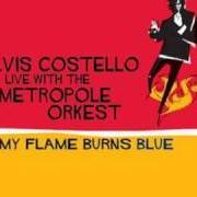 Il testo ALMOST IDEAL EYES di ELVIS COSTELLO è presente anche nell'album My flame burns blue (2006)