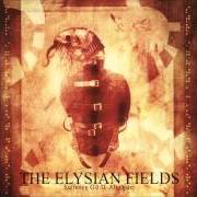 Il testo I AM YOUR WILLING DARKNESS degli ELYSIAN FIELDS è presente anche nell'album Suffering g.O.D. almighty (2005)