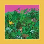 Il testo WHAT GOT IN THE WAY di TURNOVER è presente anche nell'album Good nature (2017)