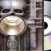 Brain salad surgery