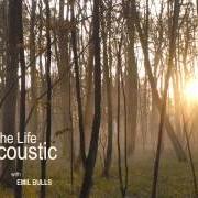 Il testo AT FLEISCHBERG'S degli EMIL BULLS è presente anche nell'album The life acoustic (2007)