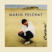 Il testo QU'IMPORTE LE JOUR di MARIO PELCHAT è presente anche nell'album C'est la vie (1995)