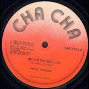 Il testo JAH GOLDEN THRONE (EXTENDED) di PETER BROGGS è presente anche nell'album Never forget jah (2001)