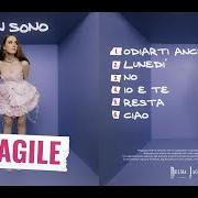 Il testo NO di ALBA è presente anche nell'album Non sono fragile (2023)