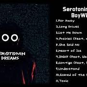 Il testo FAR AWAY di BOYWITHUKE è presente anche nell'album Serotonin dreams (2022)