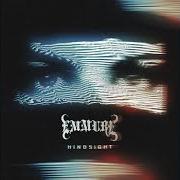Il testo (F)INALLY (U)NDERSTANDING (N)OTHING degli EMMURE è presente anche nell'album Hindsight (2020)