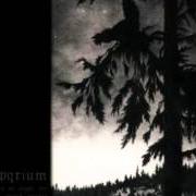 Il testo DYING BROKENHEARTED degli EMPYRIUM è presente anche nell'album Where at night the wood grouse plays (1999)