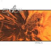 Il testo FRAGMENTS degli ENDLESS è presente anche nell'album Vital #1 (2001)