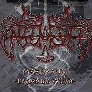Il testo DET ENDELEGE RIKET degli ENSLAVED è presente anche nell'album Mardraum - beyond the within (2000)