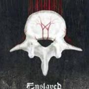 Il testo CLOUDS degli ENSLAVED è presente anche nell'album Vertebrae (2008)