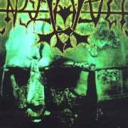 Il testo FIRES OF MIDGARD degli ENSLAVED è presente anche nell'album Vikingligr veldi (1993)